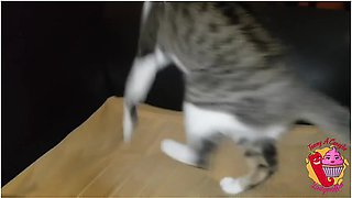 They Masturbate The Milfs Pussy And She Squirts In Pantyhose