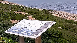 Polish Wife Tourist Outdoor Fucked and Pissed on!!!