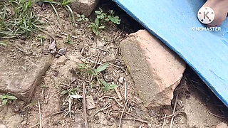 Desi Bhabhi Ki Outdoor Chudai Ki Bahut Maja Aaya