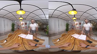 Virtual Real Porn IRL: US Edition