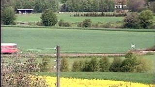 Blonde Blowjob Outdoor