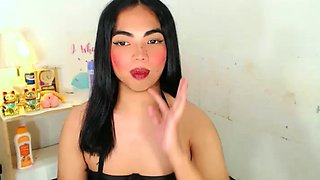 Jerking off shemale tranny solo play