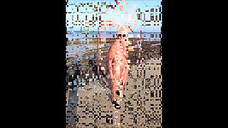 Just a walk on the beach