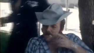 Classic Porn Dvds: Weekend Cowgirl: Part 5