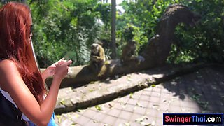 Monkey business and couple intercourse at home