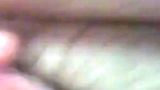 Daddy Bear Rubs Cocks with His Cub