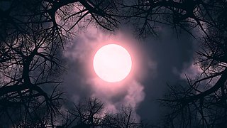 Monster Porn - The Undreamed