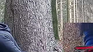 In the Forest the Loser Gets the Cock