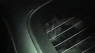Car Seat Fucking At Night