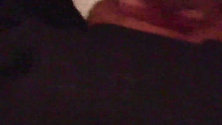 Celestina Blooms Taboo Assistant