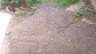 Finally Summer! Some New Outdoor Pee Is Coming