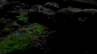 Mermaid Spotted! Wet Encounter in Lost Cove