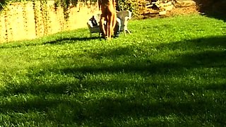 Big ass babe exposes her big boobs