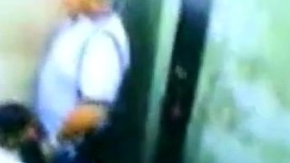 Daddy Bear and his Young Cub Caught on Camera