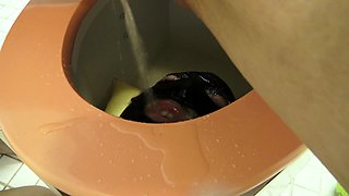 toilet slave training