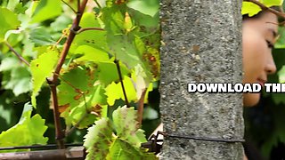 Cute Asian girl passion posing action