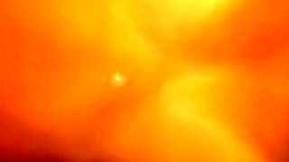 Hairy Blonde Amateur Pussy Fuck