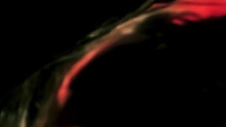 Sexy Editor Amica Bentley Takes Writer on Erotic Journey of Betrayal