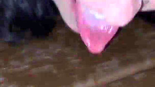 You’re Fucking Me in the Hollywood Hills