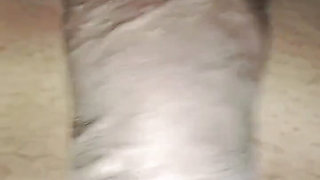 My Sister-in-law Liked My Husband's Dick