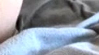 Hot Black Maid Does Some Webcam Black and Ebony