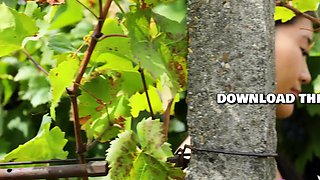 Cute Asian girl passion posing action