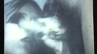 Wild Perverted Sluts