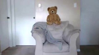 Skinny Cam Slut Teasing: Fansly  Solo Porn