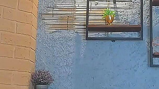 A Beautiful Latina Masturbates on Camera for Her Viewers and Wants to Get Fucked