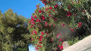 Hot Lesbian Interracial Fun in the Pool
