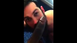 Black Cock Sucked by Amateur