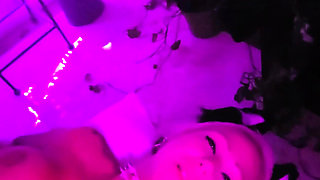 Pretty Party Smokey Kitty