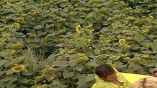 Erotic Palette 02: Yellow Anal Heat