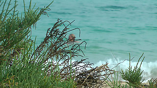 Watching on the beach as Isa has fun