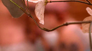 Hot Neighbors in Hot Tub