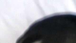 [subtiled]bi MMF Homemade: Bull Teases Dripping Wife, Massive Cum Bath on Pussy & in My Mouth