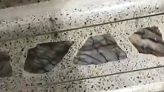 Black Amateur Explore Hot Foot Fetish