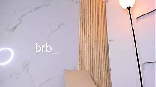 Small tits shemale gets banged in bed