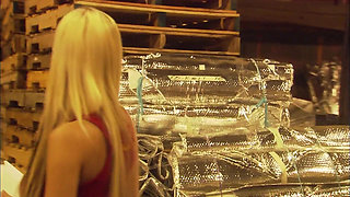 Horny couple walk out of their fancy car and bang right out there severely