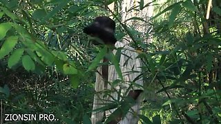 Amateur Homemade Sex: Taking My Hot African Friend to the Farm for Juicy Pussy Fucking