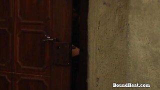 Pretty queen bee's hd dirt