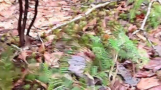 Pussy Pissing Water on the Rock